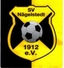Avatar Bild für SG SV Nägelstedt