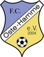 Avatar Bild für FC Oste-Hamme II