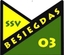 Avatar Bild für SpG SSV Besiegdas 03 Magdeburg/SV Union Heyrothsberge