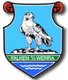 Avatar Bild für SG Falken 1948 e.V.