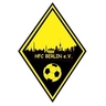 Avatar Bild für Hellersdorfer FC e.V.