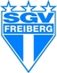 Avatar Bild für SGV Freiberg Fußball II