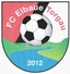 Avatar Bild für FC Elbaue Torgau II