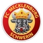 Avatar Bild für FC Mecklenburg Schwerin U19