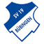 Avatar Bild für SV 19 Bübingen
