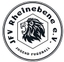 Avatar Bild für JFV Rheinebene