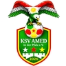 Avatar Bild für KSV Amed in der Pfalz e.V.