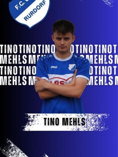 Avatar Bild für Tino Mehls